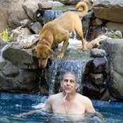 David Brooks's photo