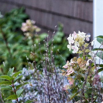 DeCordova Courtyard