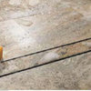Quartz Linear Shower Drain - Plain Body - Tile Insert - Stainless Steel, 28"