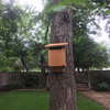 Bird House With Slotted Entry, Natural