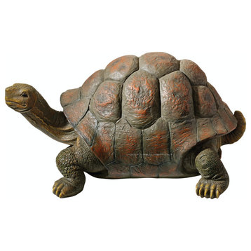Cagey Tortoise Statue, Medium