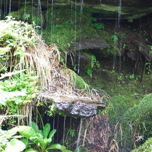 Water Features