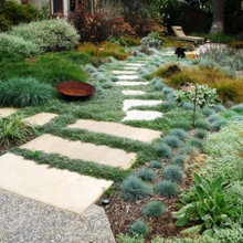 Paths