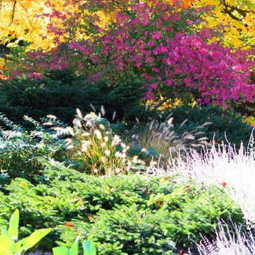 Fall Landscaping