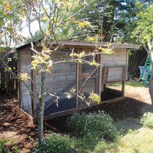 Urban farm