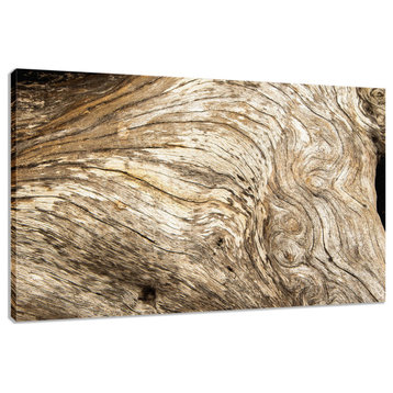 Coastal Wall Pictures: Driftwood Texture 3 Canvas Print, 24" X 36"