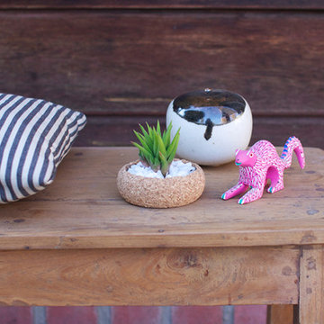 Mini Cork Planters