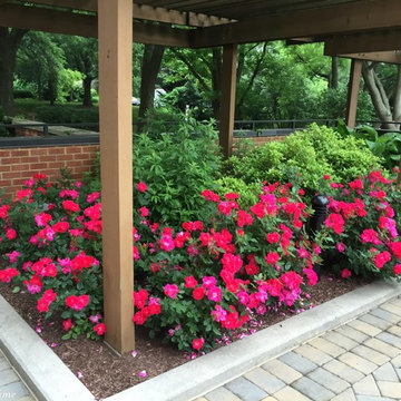 Roof Garden for Harper House Condo