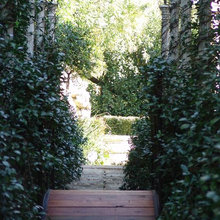 Landscape Ideas