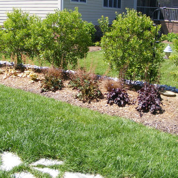 New Home, Backyard from scratch