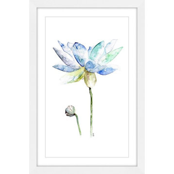 "Lotus" Framed Print by Rachel Byler