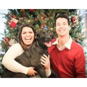 Vincent Accardi's photo