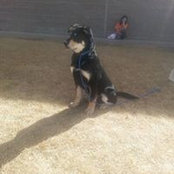 Nicki Gialdini's photo