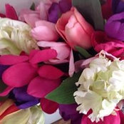 Karen Smith Vanderburgh's photo