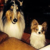 Nancy Comparato's photo