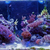 Michael Zhang's photo