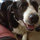 amy_waldron