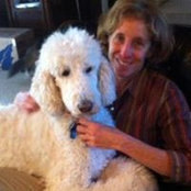 Caren Friedman's photo