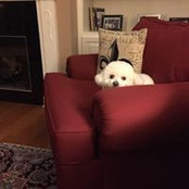 Margot Riccio's photo