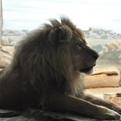 Debby Verheyden's photo