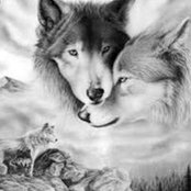 Lori Ayers's photo