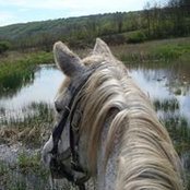 Donna Hewitt's photo