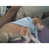 Cathy Posss foto
