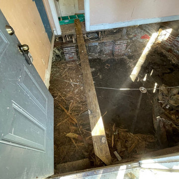 Termite Damage Is at it Again