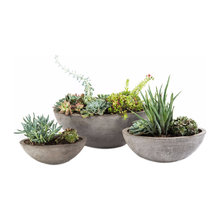 Planters
