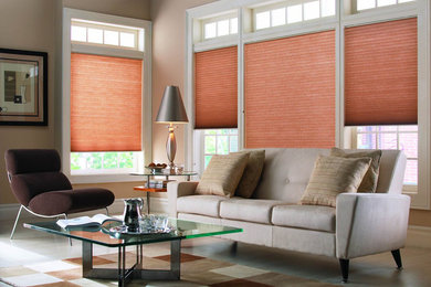 Cellular Shades - Window Coverings