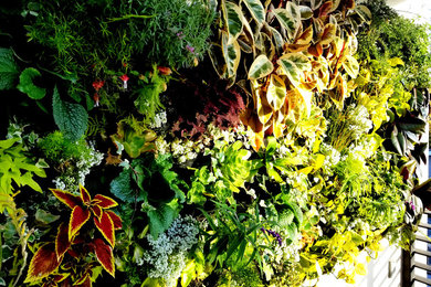 Inspiration for a modern landscaping in Los Angeles.