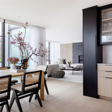 Contemporary City Renovation