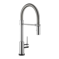 Trinsic&reg; Pro Kitchen Collection - Kitchen Faucets