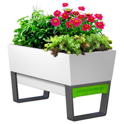 Contemporary Outdoor Pots And Planters by Glowpear