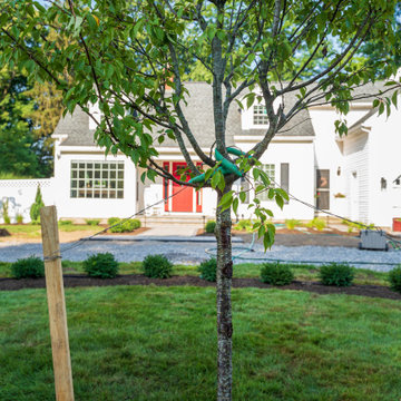 Front Yard Landscaping Design, Walkway and Lighting