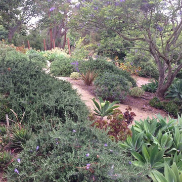 Design Build: Vista Botanical Home