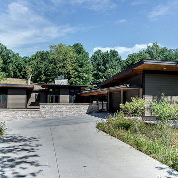 Mid Century Modern