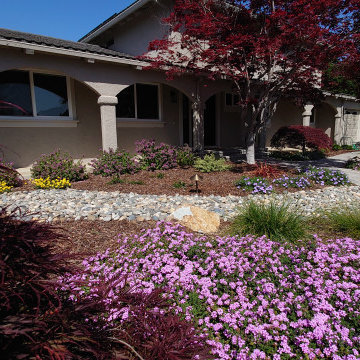 DESIGN TO COMPLIMENT MAPLE TREES