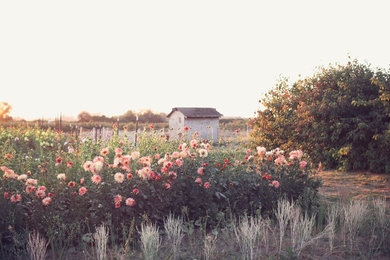 Design ideas for a farmhouse landscaping in Seattle.