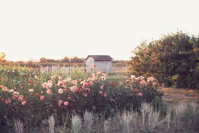 Farmhouse Landscape by Floret