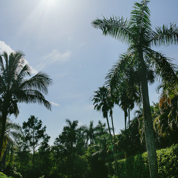 Miami Escape