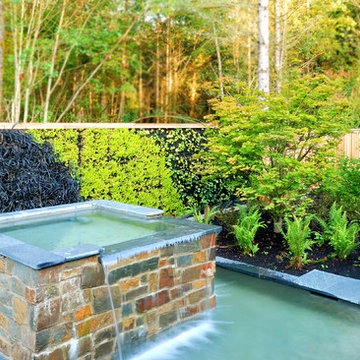 Urban Lodge: water feature and living wall