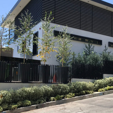 Doheny Estates