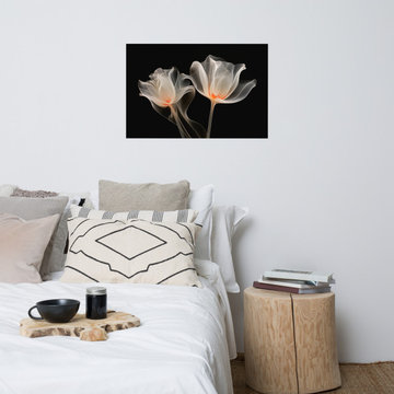 Frosted Petals X-Ray Effect Illustration Digital Art Loose Print