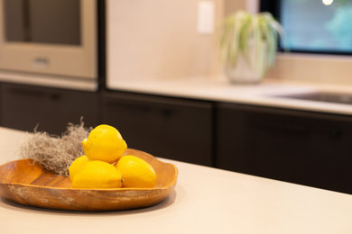 Kitchen - mid-century modern kitchen idea in Calgary