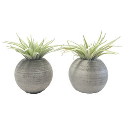 Industrial Indoor Pots And Planters by Anson Design CO