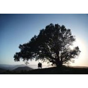 Justin Wang's photo