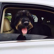 Judy Harrod's photo