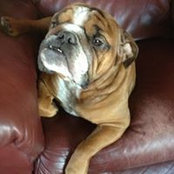Gregory Miller's photo