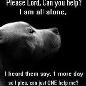 Kathleen Gowen's photo